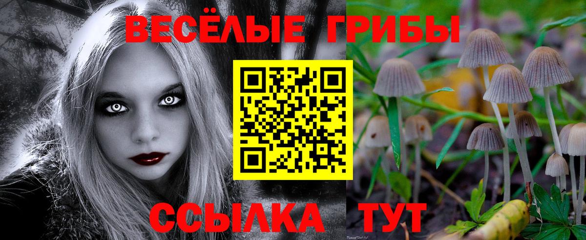 Псилоцибиновые грибы мицелий  Псилоцибиновые грибы Psilocybe  Камень-на-Оби 
