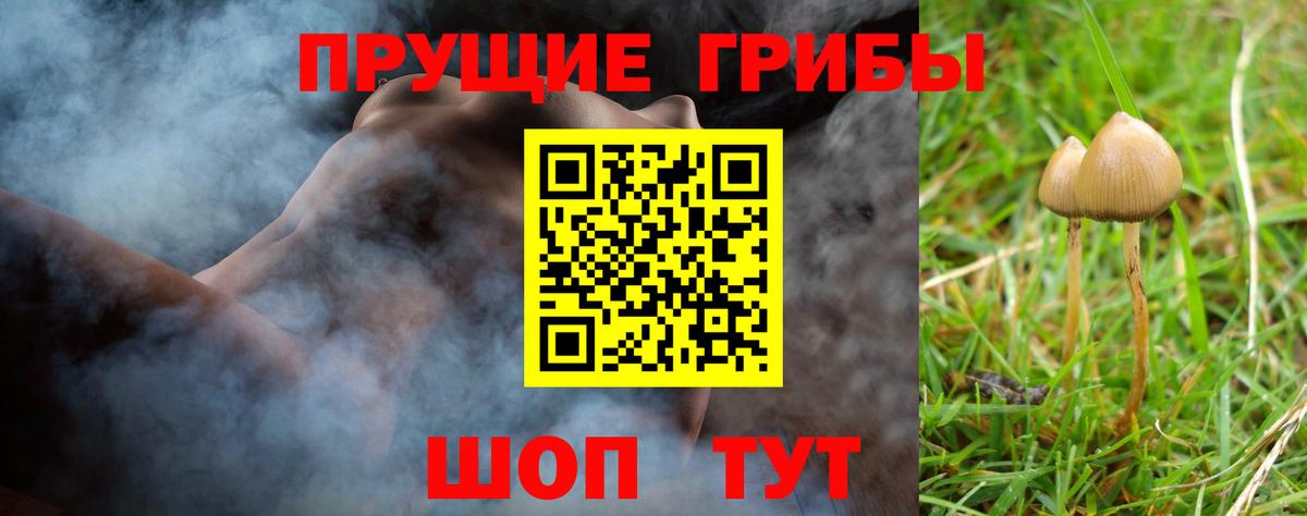 Галлюциногенные грибы GOLDEN TEACHER  Галлюциногенные грибы GOLDEN TEACHER  Вход с VPN  Камень-на-Оби 