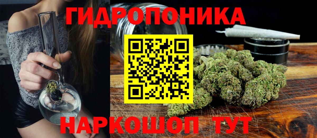 Конопля Ganja  Конопля AK-47  Камень-на-Оби  Вход с VPN  Каннабис план  МАРИХУАНА LSD WEED 